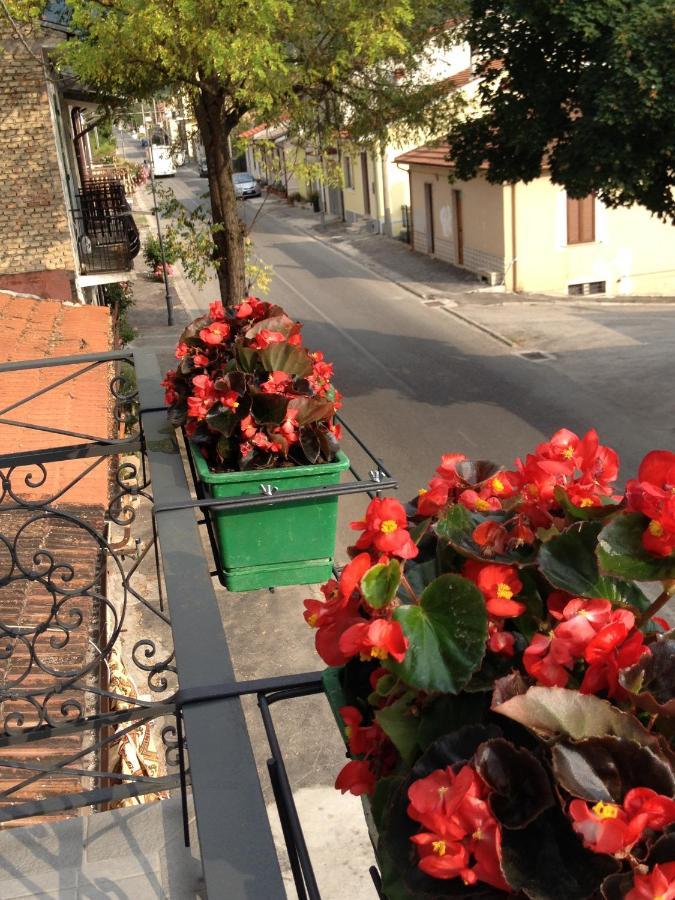 B&B La Rosa Gioia Dei Marsi Luaran gambar
